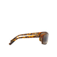 Maui Jim Regular - Tortoise HCL® Bronze Polarized